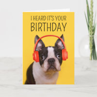 Happy Birthday | Boston Terrier