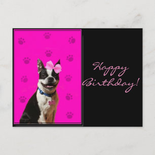 Happy Birthday Boston Terrier Postcard Postkarte