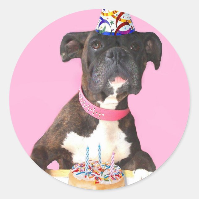 Happy Birthday Boxer Hundeaufkleber Runder Aufkleber (Vorderseite)