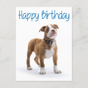 Happy Birthday Boxer Puppy Dog Postard Postkarte
