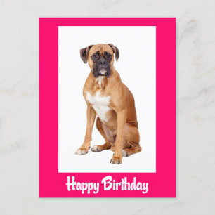 Happy Birthday Boxer Puppy Dog Postkarte