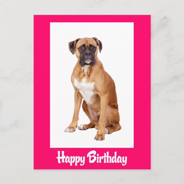 Happy Birthday Boxer Puppy Dog Postkarte (Vorderseite)