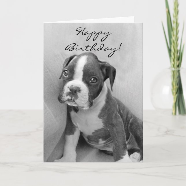 Happy Birthday Boxer puppy Karte (Vorderseite)