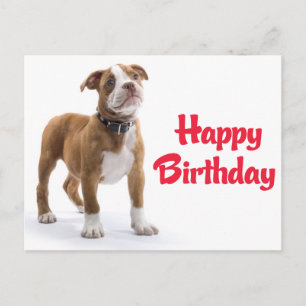Happy Birthday Boxer Welpenhund Postkarte