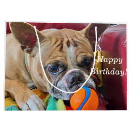 Happy Birthday Brindle Bostyon Terrier Große Geschenktüte