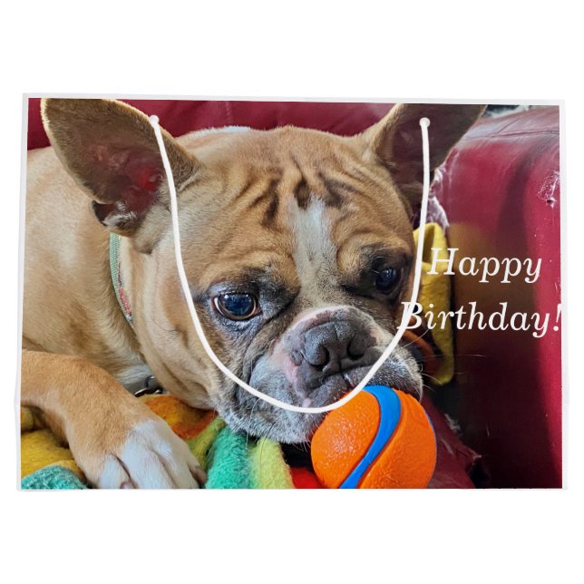 Happy Birthday Brindle Bostyon Terrier Große Geschenktüte (Rückseite)