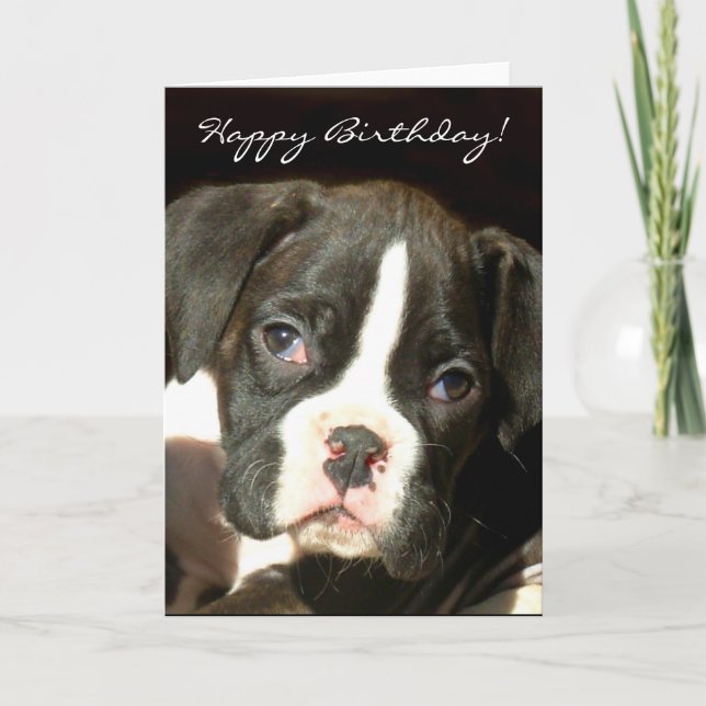 Happy Birthday Brindle Boxer Welpengrüßkarte Karte (Vorderseite)