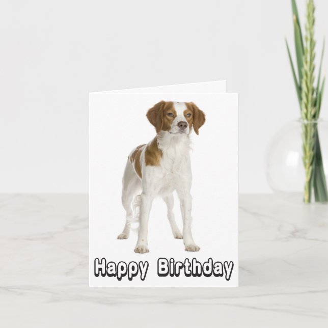Happy Birthday Brittany Spaniel Puppy Dog Card Karte (Vorderseite)