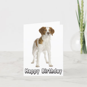 Happy Birthday Brittany Spaniel Puppy Dog Card Karte