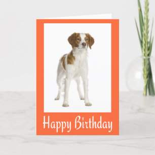Happy Birthday Brittany Spaniel Puppy Dog Card Karte