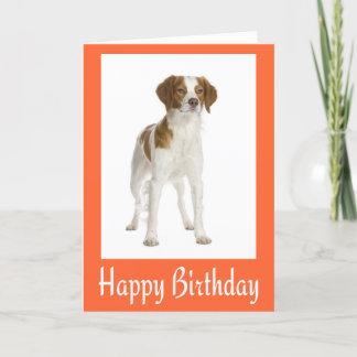 Happy Birthday Brittany Spaniel Puppy Dog Card Karte