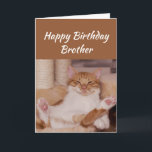 Happy Birthday Brother Celebrate Funny Cat Karte<br><div class="desc">Alles Gute zum Geburtstag,  Brüder feiern,  wie auch immer Sie mit einer niedlichen entspannenden Katze Weihnachten Tier Geburtstag Gruß an anpassen</div>