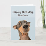 Happy Birthday Brother Fun Dog Grumpy Old Man Karte<br><div class="desc">Happy Birthday Grumpy Old Man Brother niedlich traumatisiert aussehender Hund</div>