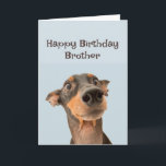 Happy Birthday Brother Fun Dog Grumpy Old Man Karte<br><div class="desc">Happy Birthday Grumpy Old Man Brother niedlich traumatisiert aussehender Hund</div>