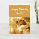 Happy Birthday Brother Funny Animals Karte<br><div class="desc">Happy Geburtstag Bruder Hund schockiert aussehen oder überrascht lustige Tiere.  Freundschaftsspass und    LachenGeburtstage prangern sich auf.</div>