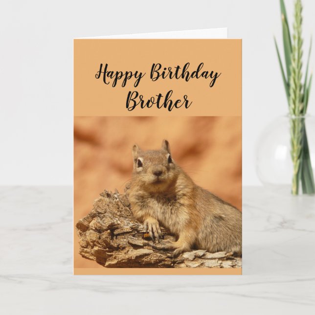 Happy Birthday Brother Funny Squirrel Relax Karte (Vorderseite)