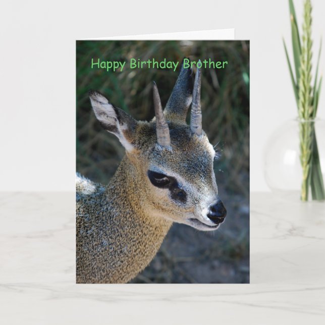 Happy Birthday Brother Karte (Vorderseite)