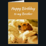 Happy Birthday Brother Real Age Spaß Fun Dog<br><div class="desc">Herzlichen Glückwunsch zum Geburtstag Bruder Freund Funny Animals. Erinnern Sie sich,  ich kenne Ihr echtes Alter mit niedlich geschocktem Hund</div>