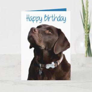 Happy Birthday Brown Labrador Retriever Puppy Card Karte