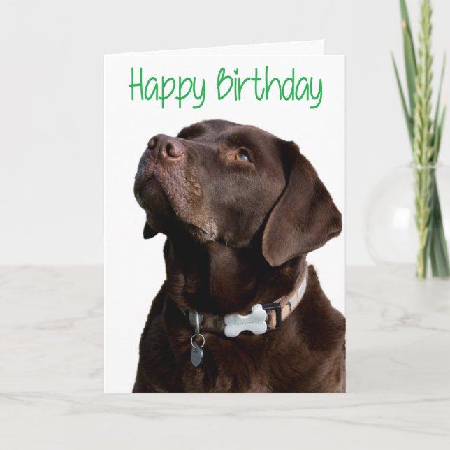 Happy Birthday Brown Labrador Retriever Puppy Card Karte (Vorderseite)