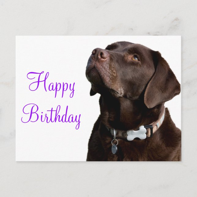 Happy Birthday Brown Labrador Retriever Puppy Dog Postkarte (Vorderseite)