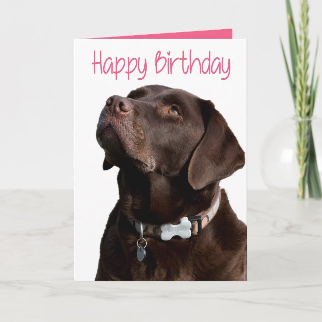 Happy Birthday Brown Labrador Retriever Puppy Pink Karte (Vorderseite)