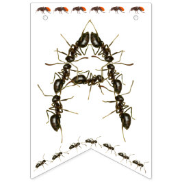 Happy Birthday Bug Themed Banner