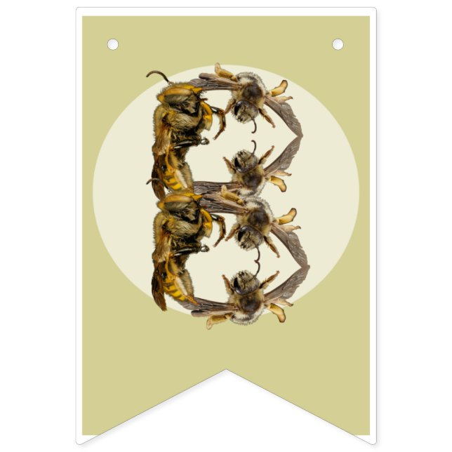 Happy Birthday Bug Themed Banner | Insektenbanner (Achte Fahne)