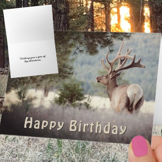 Happy Birthday Bull Elk Fotovorlage Karte (Bull elk photograph greeting card cover with front and inside template text. )