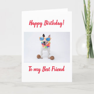 Happy Birthday Bull Terrier mit Kokosnüssen Karte