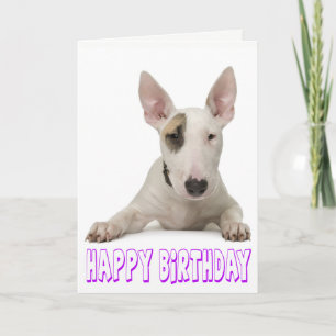 Happy Birthday Bull Terrier Puppy Dog Karte