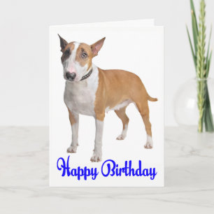 Happy Birthday Bull Terrier Puppy Dog Karte