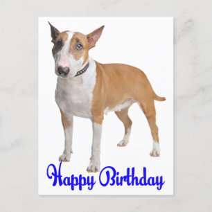 Happy Birthday Bull Terrier Puppy Dog Postkarte