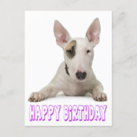 Happy Birthday Bull Terrier Puppy Dog