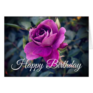 Happy Birthday Burgundy Iceberg Rose #2 Card