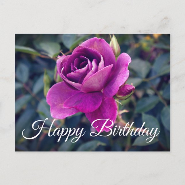 Happy Birthday Burgundy Iceberg Rose #2 Postcard Postkarte (Vorderseite)