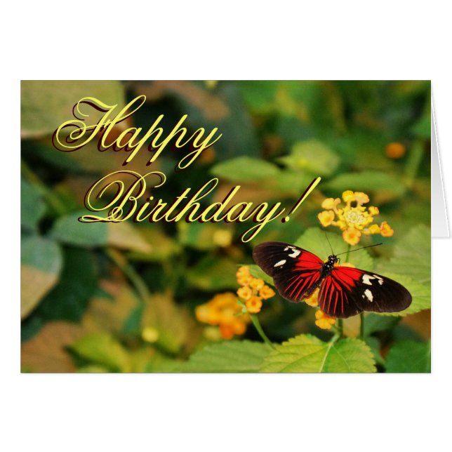 Happy Birthday Butterfly Card (Vorderseite (Horizontal))
