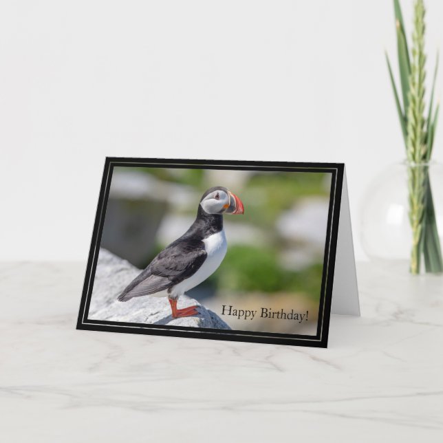 Happy Birthday Card Atlantic Puffin Karte (Vorderseite)