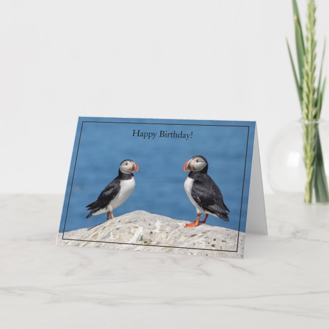 Happy Birthday Card Atlantic Puffin Karte (Vorderseite)