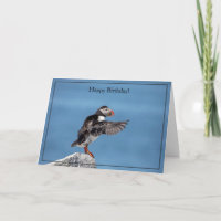 Happy Birthday Card Atlantic Puffin