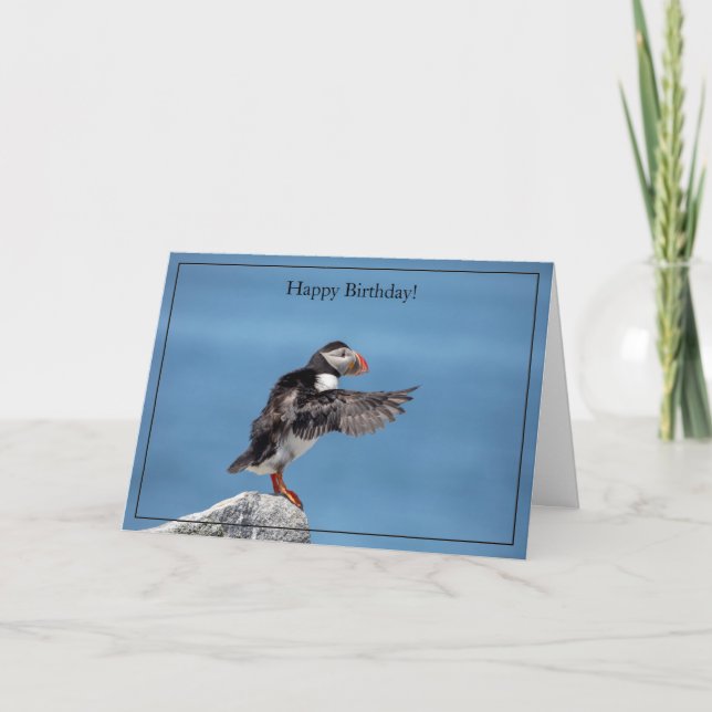 Happy Birthday Card Atlantic Puffin Karte (Vorderseite)