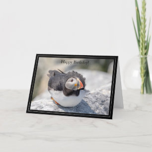 Happy Birthday Card Atlantic Puffin Karte