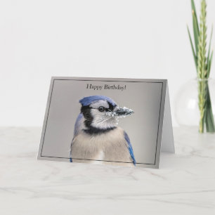 Happy Birthday Card Blue Jay Karte