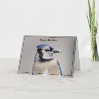 Happy Birthday Card Blue Jay Karte