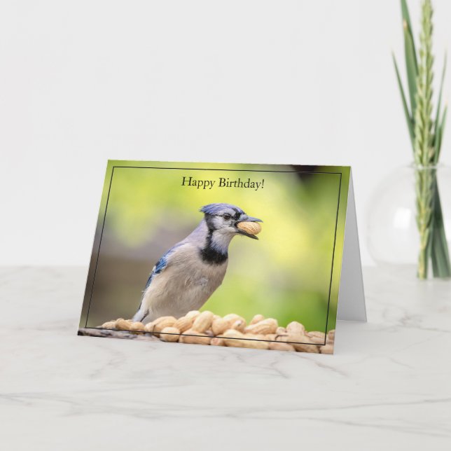 Happy Birthday Card Blue Jay Karte (Vorderseite)