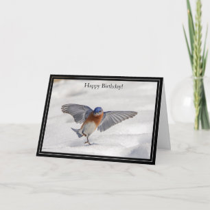Happy Birthday Card Eastern Bluebird Karte
