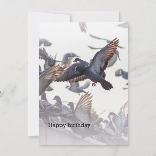Happy Birthday Card for Pigeons (Rückseite)