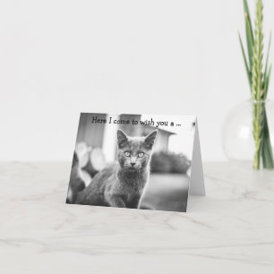 Happy Birthday Card: Gray Cat Karte