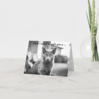 Happy Birthday Card: Gray Cat Karte