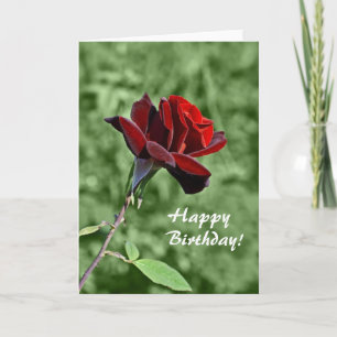 Happy Birthday Card Karte